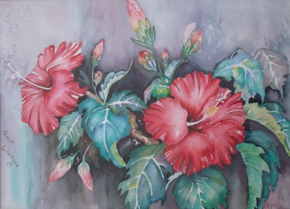 Red Hibiscus